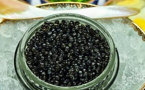 世界第一魚子醬 最貴的Almas魚子醬每一口吃下去的都是錢