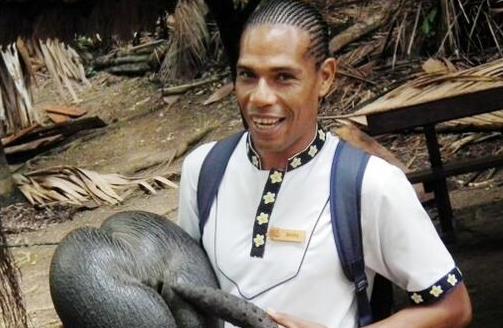 世界上最大的果實(shí) 雌雄海椰子酷似男女生殖器