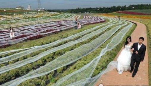 世界上最長的婚紗 法國婚紗公司制作8095米婚紗