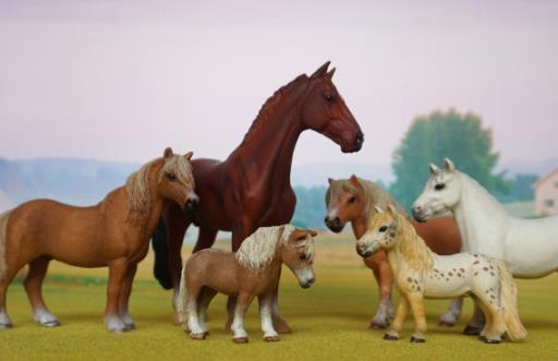 世界上最小的馬 侏儒癥的迷你馬高僅43厘米不及人的膝蓋