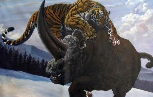 史上最大的有角犀牛 板齒犀體長超過8米 重達8噸