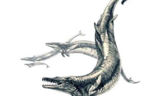 世界上最早的鯨魚 古蜥鯨竟是從樹上跑下來的