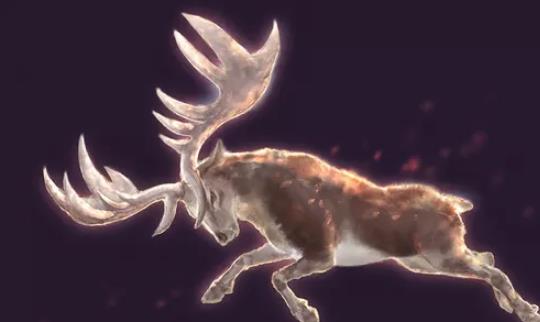 世界上最長的鹿角 大角鹿鹿角達4米重43公斤