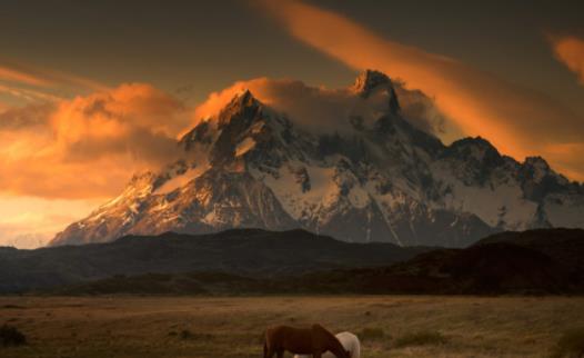 南美洲最大沙漠 巴塔哥尼亞沙漠 擁有最大恐龍化石