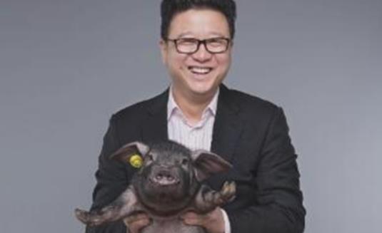 世界上最貴的豬 網易味央黑豬一頭賣出近11萬元高價