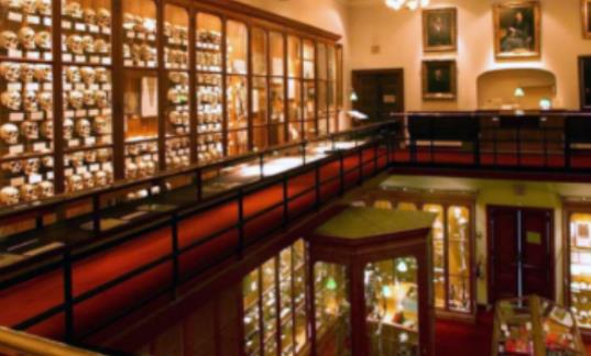 世界上最恐怖的博物館 存放畸形人遺體最多的馬特博物館