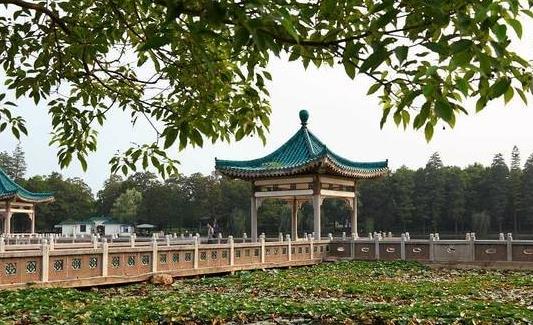 中國最大的城中湖 武漢東湖33平方公里