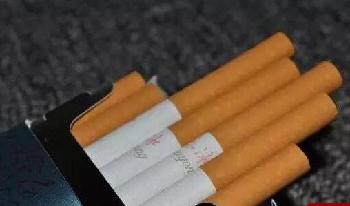 中國最貴的香煙 內部特供游泳香煙一萬八一條