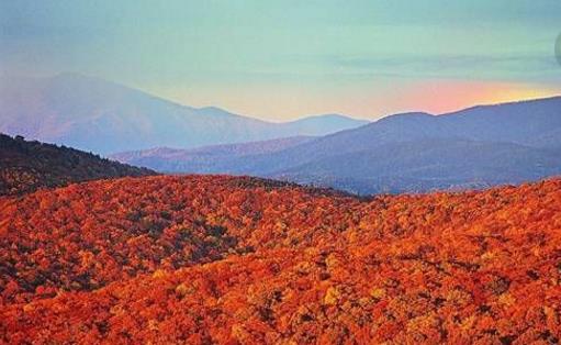 中國最大的原始森林區 內蒙古大興安嶺林業用地面積92.4萬公頃