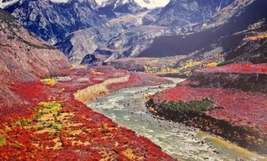 中國最大的峽谷 雅魯藏布大峽谷全長504.6千米 最深處6009米