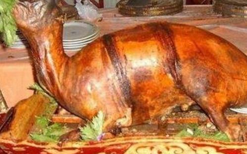 中國十大禁菜排行榜 猴頭因吃法太殘忍被禁