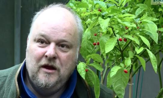 世界上最辣的辣椒 龍息248萬SHU的辣度