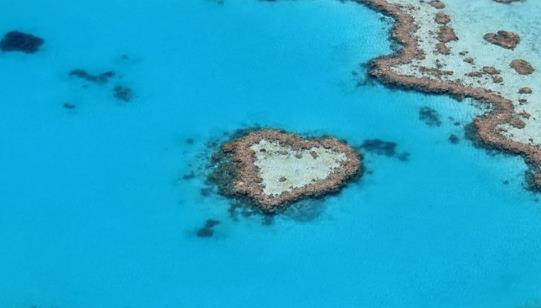 世界上最大的海 珊瑚海總面積達479.1萬平方公里