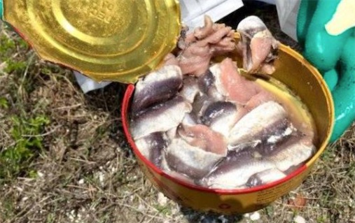 全世界最臭的美食 瑞典鹽腌鯡魚比臭豆腐還要臭10倍以上
