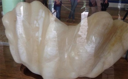 世界最大珍珠 菲律賓一漁民打撈出重34公斤的珍珠