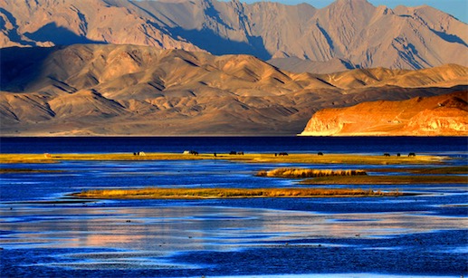 世界上最奇特的湖 班公湖一半咸水一半淡水