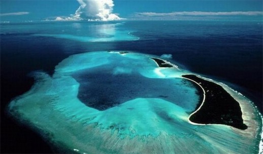 世界上無海岸線的大海 馬尾藻海與大陸毫無瓜葛