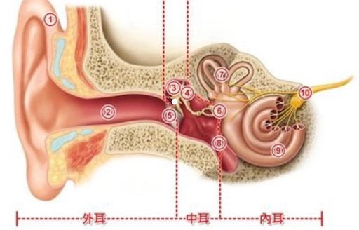 世界上最強的耳朵 英國男子用耳朵拖動677.8公斤的飛機