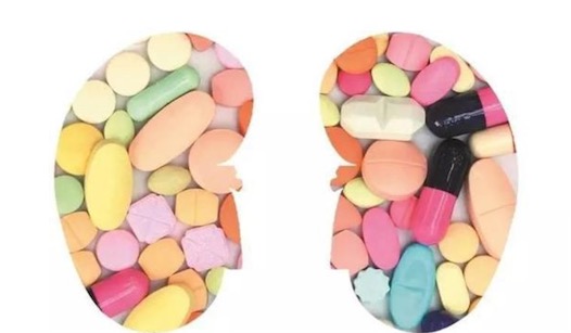 最早的人類腎移植 美國醫生休朱在1947年手術成功