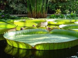 ����������˯ɏ���S����������ɏ��Ҳ�������������_��ֲ��