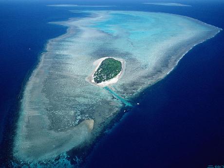 東海岸溫帶和亞熱帶森林區介紹