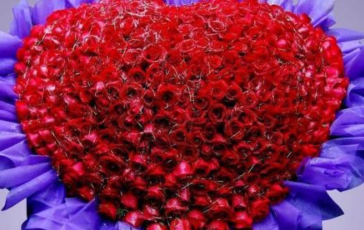 玫瑰花語:玫瑰花數量代表什么含義 玫瑰花語顏色代表什么寓意