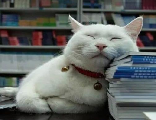 早醒可以慢慢調(diào)整過來嗎?總是凌晨三四點醒是怎么回事?