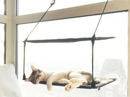 晚上睡不著白天也不想睡是怎么回事?經常早醒怎么調理?