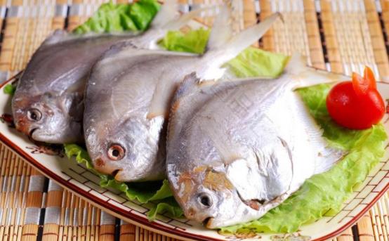 孕婦可以吃鯧魚嗎?鯧魚怎么吃?