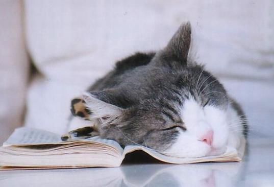 晚上睡覺老是斷斷續續的醒是咋回事?睡眠時間長好還是深度睡眠好