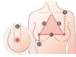 湖北高校校花評(píng)選要求 雙乳間距要超20厘米