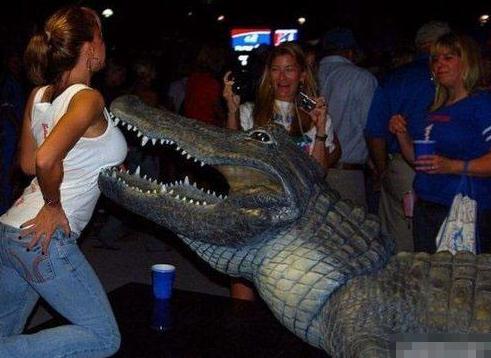 ����Ҳ��ɫ��ϲ�g�ǶY��Ů�ĺ�ɫ����M�D