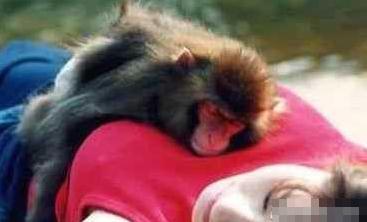 ����Ҳ��ɫ��ϲ�g�ǶY��Ů�ĺ�ɫ����M�D