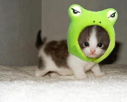 ��Ц�DƬ��ţ����Ĭ��Ц����һ���׵��㣬�����ܵ�؈��