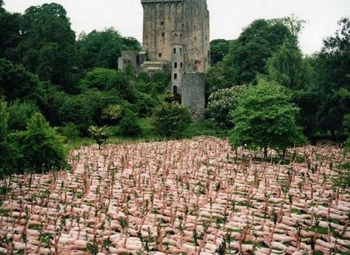 ���w�О�ˇ�g��ʮ���f�˼��wȺ�������^����ˇ�g�M�е����cɫ��Q�o�Pϵ