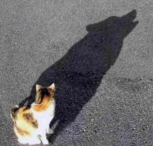 ��Ц�`���D����Щ����׌�ˮa���`���ĈD��؈׃����