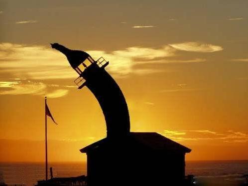 �������c���߼t���P�c׌���̿������Ľ���������[�M�D]������ֽ���