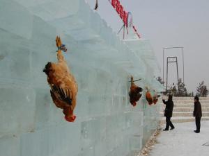 �����Ӽ���ѩ��(ji��)�������ο����@�F(xi��n)���u��(d��ng)�й��ο��䚢�M�D