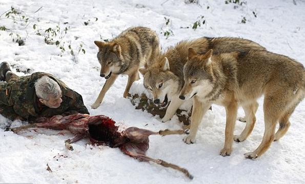 �c�ǹ�ʳ�գ���79�q���ӽy�I��Ⱥ������o��Ⱥιʳ��ʾ�H��