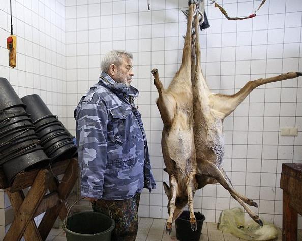 �c�ǹ�ʳ�գ���79�q���ӽy�I��Ⱥ���쌦��o��Ⱥι�����ʾ�H��