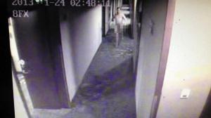 �^�Y���ӼsŮ�W���_�����_����͵����������׷�أ��Z������������4��