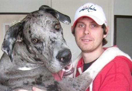 �������湷�����L���c����ƶ��߼t���؄e����ͣ��˹��ƌ\���治��(�M�D)