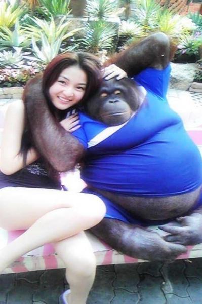 ������΢�����Q��ָ�����������ɱ������겻����