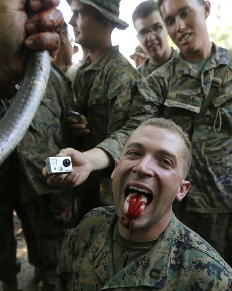 2013����ɫ���R�ߡ���܊����������܊ʿ���������R��Ѫ�M�D