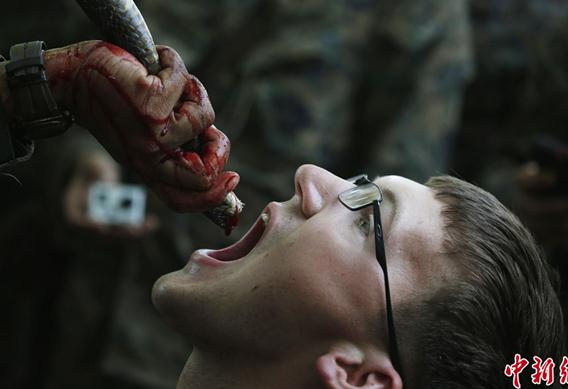 2013“金色眼鏡蛇”聯合軍演演習,美軍士兵叢林生存訓練生吃眼鏡蛇血組圖