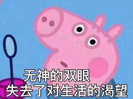 抖音小豬佩奇被禁是怎么回事?抖音社區(qū)新規(guī)則曝光:小豬佩奇被禁