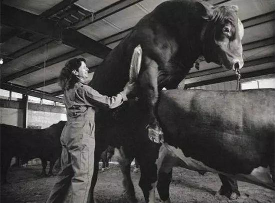 世界上各種罕見最奇葩的職業 工資收入不菲 聞屁師待遇年薪30萬