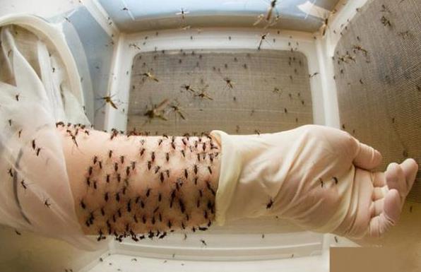 世界上各種罕見最奇葩的職業 工資收入不菲 聞屁師待遇年薪30萬