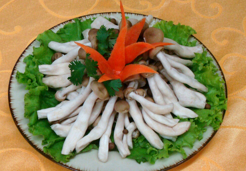 �����ڿ��Գ�зζ���᣿��зζ���Ľ���