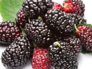 �������ܳ�ɣ�؆᣿�����ڳ�ɣ����ʲô��̎